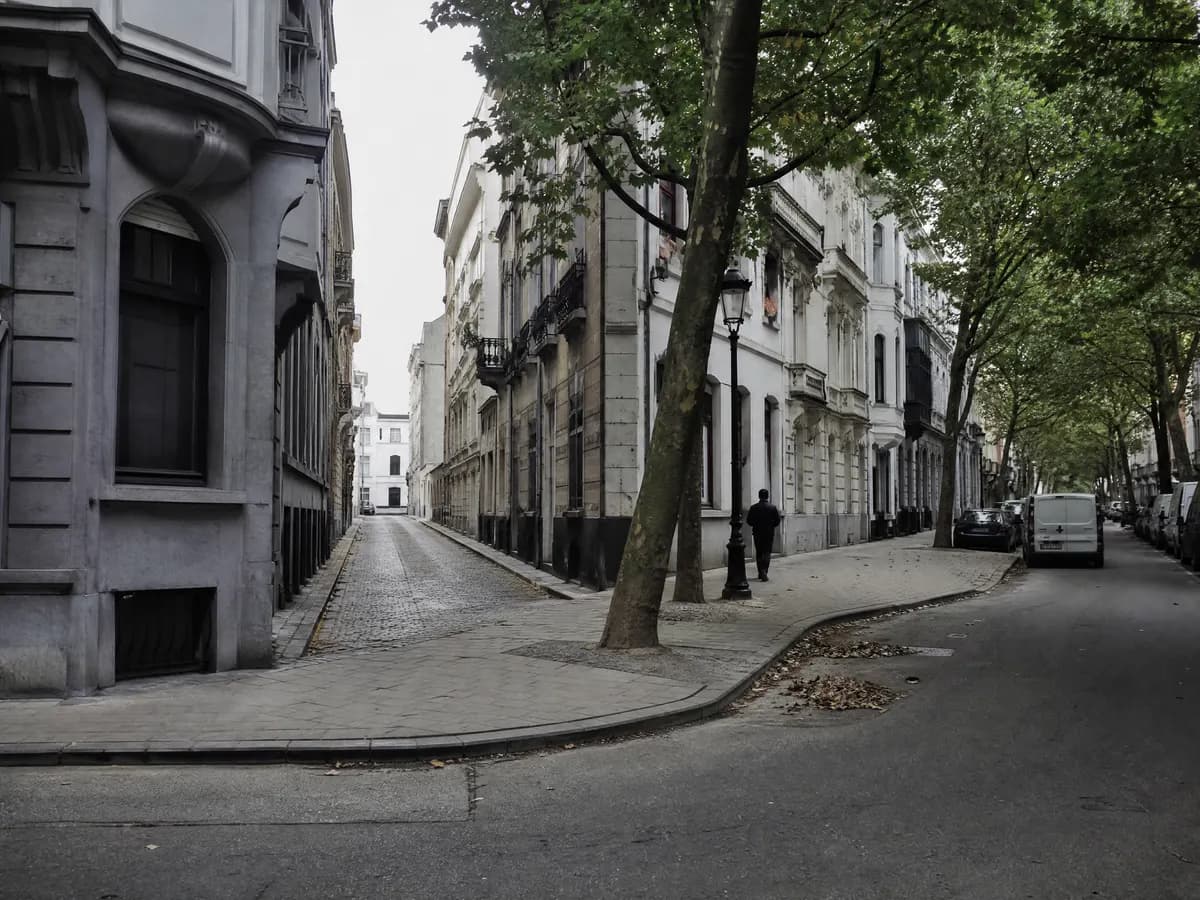 Brede laan met herenhuizen tegenover een smalle straat in een ander Antwerps district